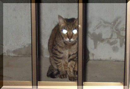 ҂ĂB