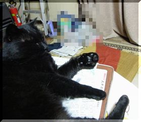 オPB
