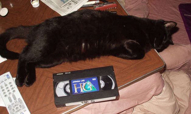 悭QĂ܂BXł܂B