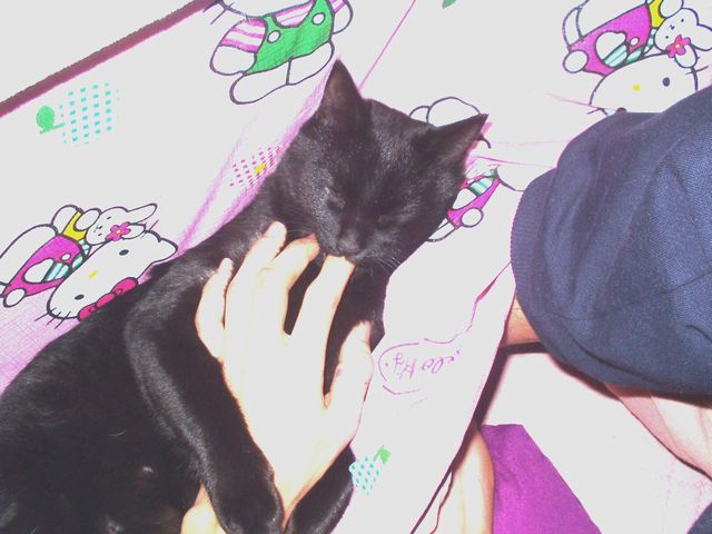 洋介の指をしゃぶりながら。